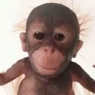 hungrymf69420's profile picture. 