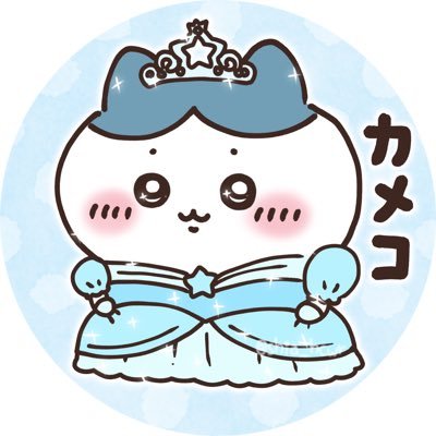 カメコ (@kameco713) / Posts / X