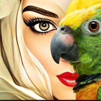 Heba (@heba39839677003) Twitter profile photo