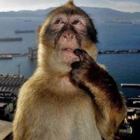 Lê Vy Thục San (@atsh_25) 's Twitter Profile Photo