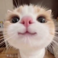 Kev(in Heart) 2 months to Christmas (@paperinstacks) 's Twitter Profile
