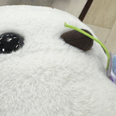 norimaki162308's profile picture. 撮影・動画編集 勉強中の専門学生
いろんな人と仲良くなりたいです(^^)