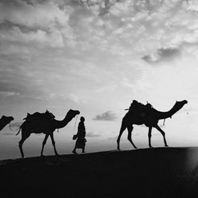 #تاريخ_عنيزة #تاريخ_الجزيرة_العربية باحث في تاريخ عنيزة، وموروث الجزيرة العربية. ×الإعادة لا تعني مطلق الموافقة×