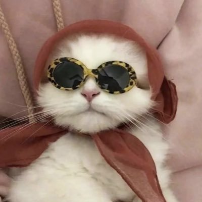 borii1234's profile picture. 남은 생 복세편살 하고싶은 재테크girl