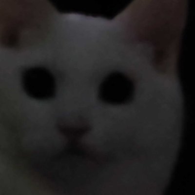 wakabaeru's profile picture. 君らしく踊ればいいじゃない
もにコンテンツ　
@VRCwakabaeru