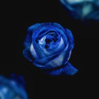 ゆめ (@y_m_e_61) 's Twitter Profile