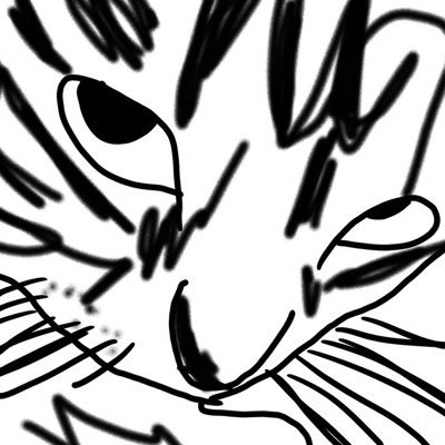 drewbear1748's profile picture. blahblahblah