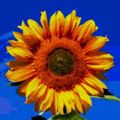 M1nawi1's profile picture. 