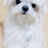 RyoCue_'s profile image