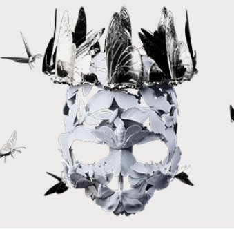 holyhubbub's profile picture. im not actually princess goes but i am probably their biggest fan