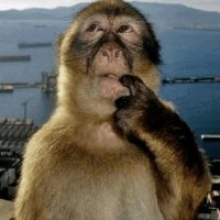 Whalemar (@whalemar1681) 's Twitter Profile