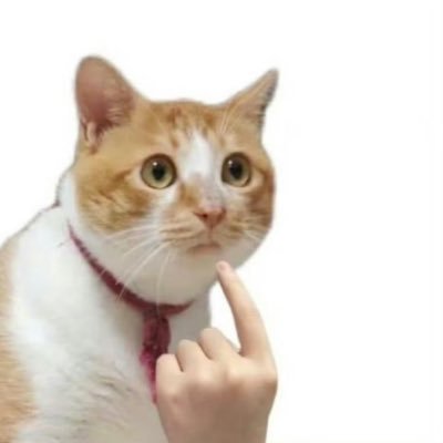 hongnai3's profile picture. 日本留学 日本語ok/中国语ok/English ok 👍    特摄大好き/スーパーロボット 好き/im@s ジュリア 担当/🌊Aqours all in/sks単推し                  请多多关照！  🫡