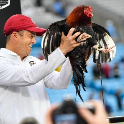 thatgamecock2's profile picture. I ❤️ Sir Big Spur