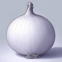 Onion (@onionxbt) 's Twitter Profile Photo Onion (@onionxbt) 's Twitter Profile Photo