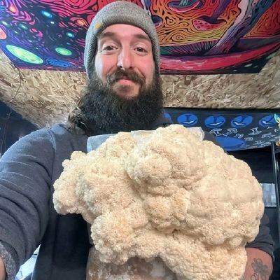 Healing the world with plants medicine ☘
Explore yourself consciousness with this special
Medicine Let's Grow our community ☘☘🍄🍄