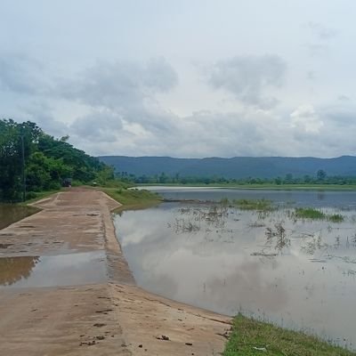 Nene51693309's profile picture. อายุ 42 ชอบผู้หญิงครับ ทวิตสีเทา เป็นความลับ