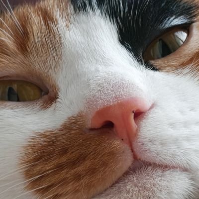 sP760Kr7Fy91938's profile picture. babyfeat.BP.bbb.噗帕.BN.spypon