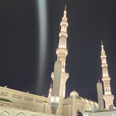 MennaRadi1's profile picture. 