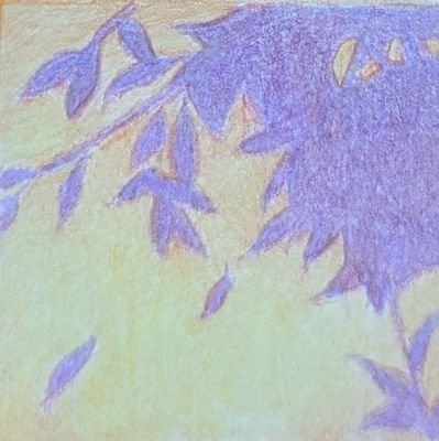 sengchanh_'s profile picture. they/she 🍀 viet lao 🍀 disabled & covid cautious