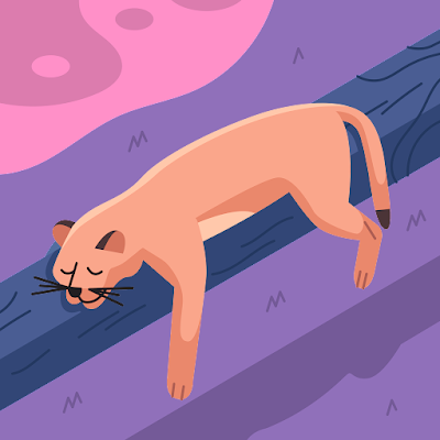 yilin245's profile picture. 