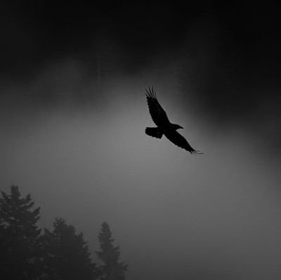 THRUNES_'s profile picture. ?