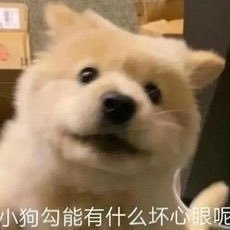 cszwskw1's profile picture. Les 🌈 T 纯1 单身  不约 男的看我一辈子阳痿 保持距离不加V
