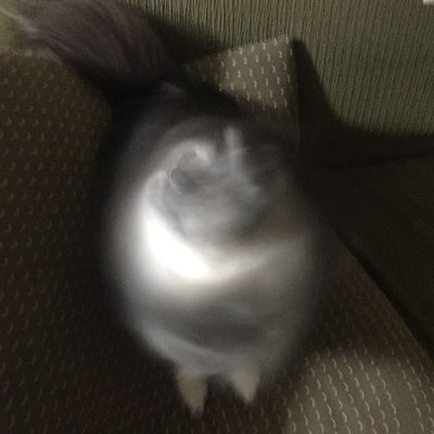 sekaiju_'s profile picture. 