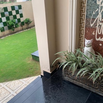 یہ اسکی اپنی مصلحت ہےوہ جسم رکھتا نہیں ھے ورنہ۔ یہ منصبوں کے غصب کے عادی ضرور ہوتے خدا کے قاتل۔