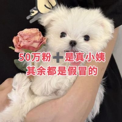 🌷日常剪辑优质视频,视频来源于网络,侵则删
唯一的小号:大姨 @ta_xiao24198
🌷自用vpn👇https://t.co/PAmN9BwsbL很丝滑
⚠️50万粉➕的才是真的小姨,其余都是假冒的。小姨剪辑的视频都直发推特,没有群,不会通过🔗引流进群