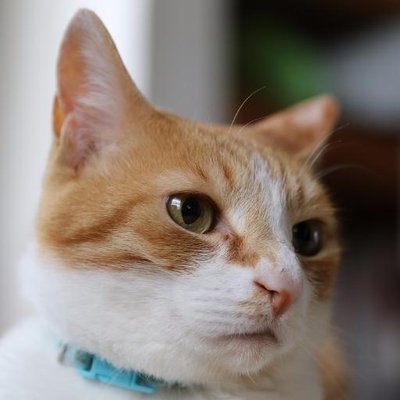 きゅう (@omo93) / Posts / X