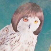 artescandinava's profile picture. 