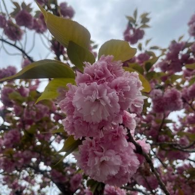 __yuchan1723__'s profile picture. 