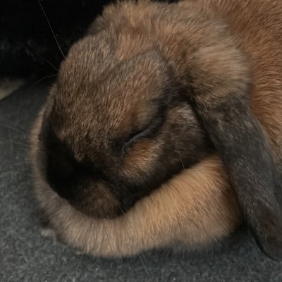 milkさんのプロフィール画像