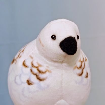 11aphhws23's profile picture. ヘタリアにまたはまりました/日受/20↑