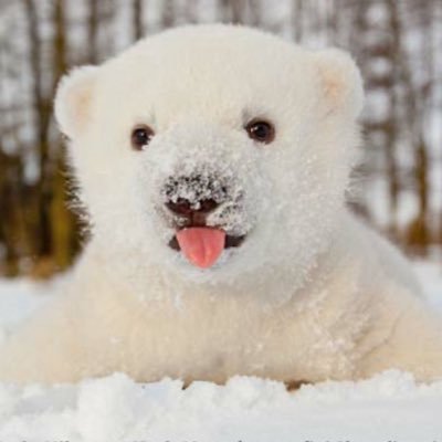 yQvPMQdLmT23324's profile picture. 