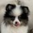 Kimyujin0308's profile image