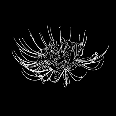 spider30194's profile picture. 