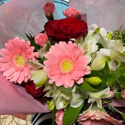 ma_me0331's profile picture. 新しい地図3人とクルちゃんレオンくん 木村くん かれらのふるさとだったところは封印しました