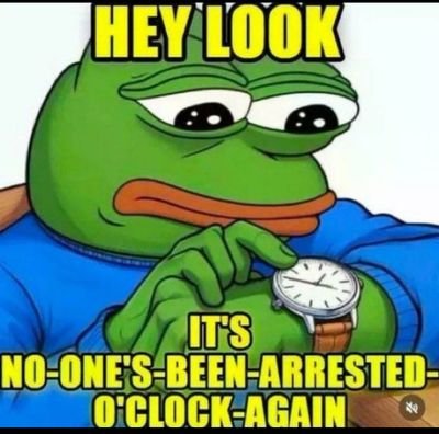 catalyst_nv's profile picture. X is a toxic cesspool of sycophants and retards. Time wake up, your all being played.