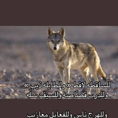 اللهم كما حفظت وجوهنا من السجود إلا لك أحفظ أيدينا من مد يد الحاجه إلا إليك