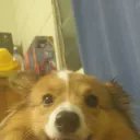 JFidgetspi97819's profile picture. 