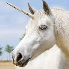 Papa__scadrych's profile picture. طالب في الأزهر الشريف