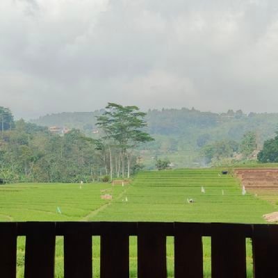 Yunedae's profile picture. 🚀 Full Stack Dev in Progress 🌐