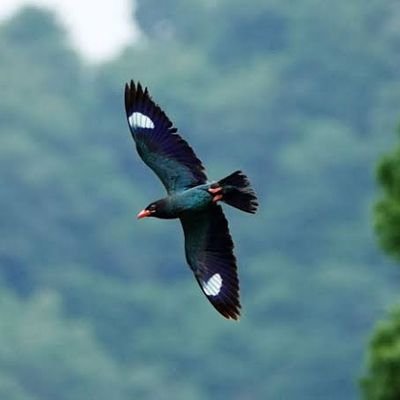 GIvx81's profile picture. 立命館経済2回生
RUQS
花明かり