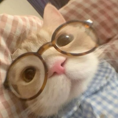 sleepybluu_'s profile picture. 𓏵𓏵　　　🐾𓈒⠀⠀　kiarra / dami　　 𓏼
　　　　　　bi sngl　　 ✦　　　𓏴