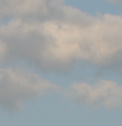 Cloud_Developer's profile picture. 