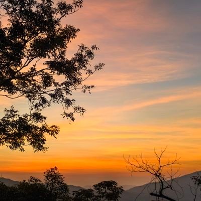 bugaoxing6's profile picture. 