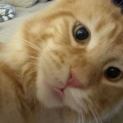 rezineq's profile picture. @schecoperez always love boo 🤍