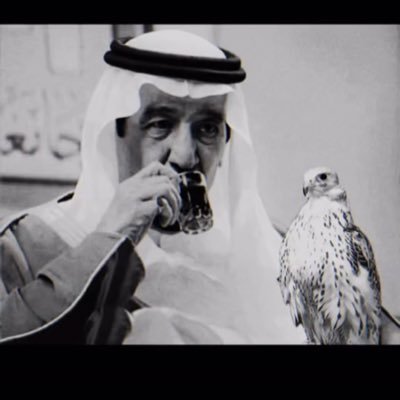 ss7pq's profile picture. 