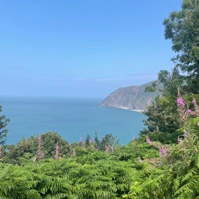 SENteacherEYFS's profile picture. PGCE 23-24, SEN teacher ☀️